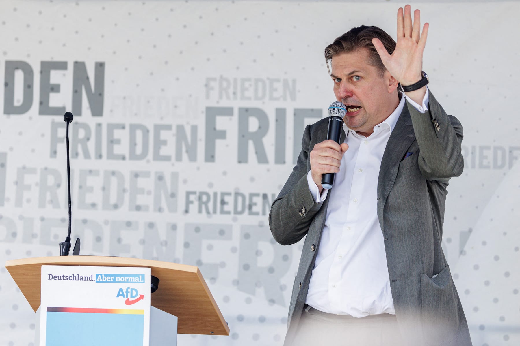 germany far-right leader Maximilian Krah