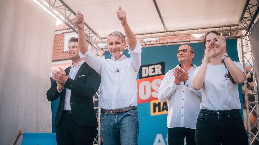 german far right afd neo nazi election alternative for germany