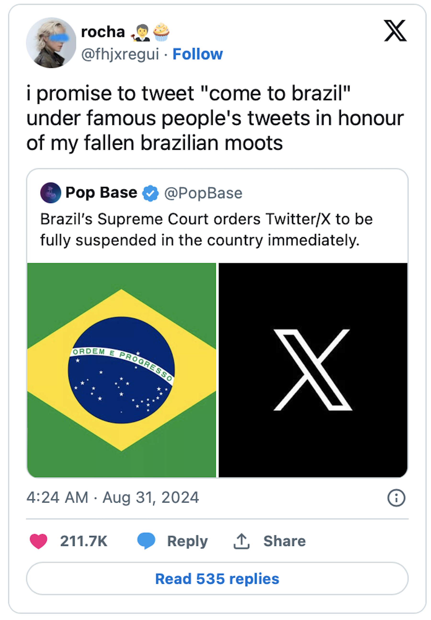 brazil's supreme court bans x formerly twitter