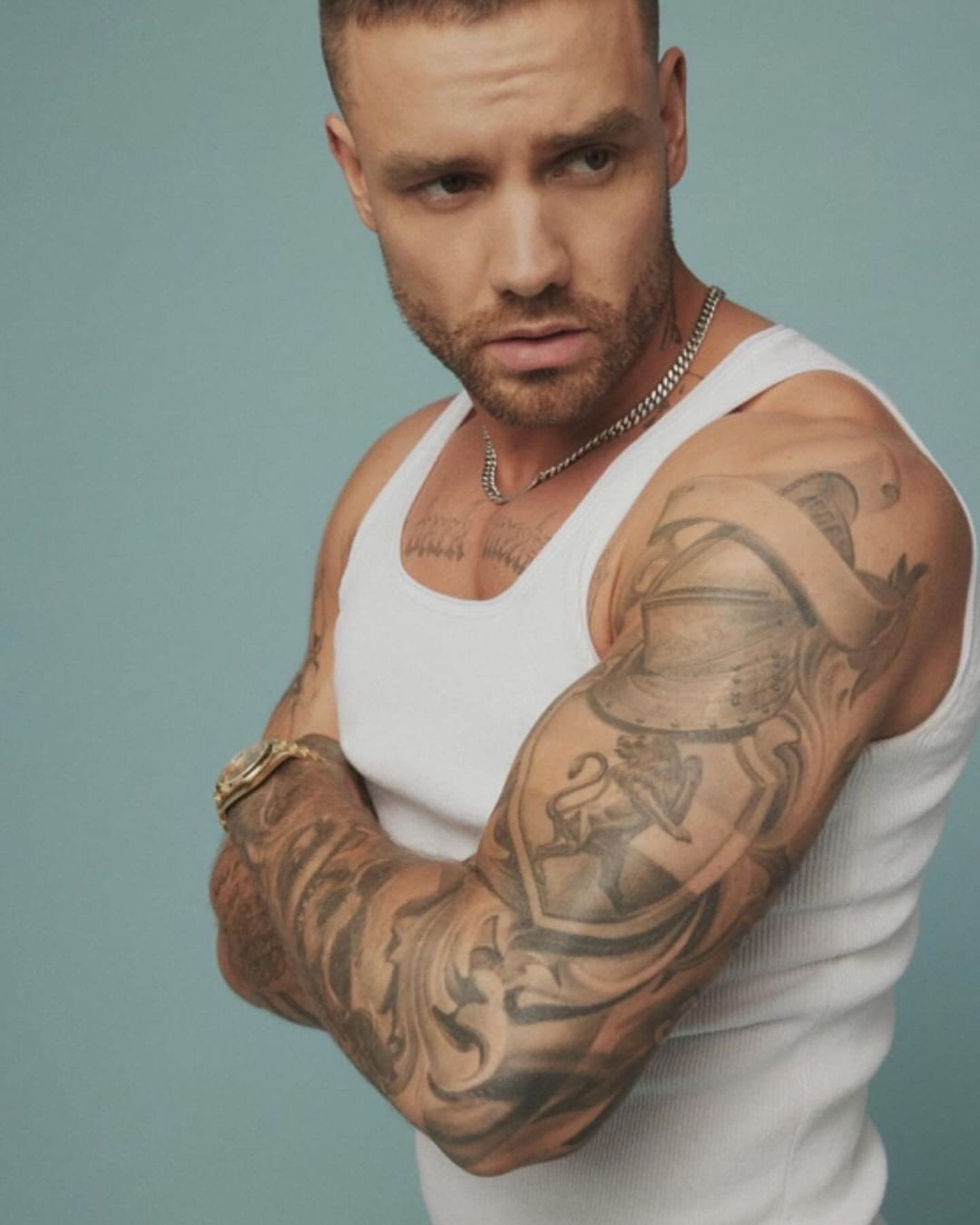 former one direction artist liam payne