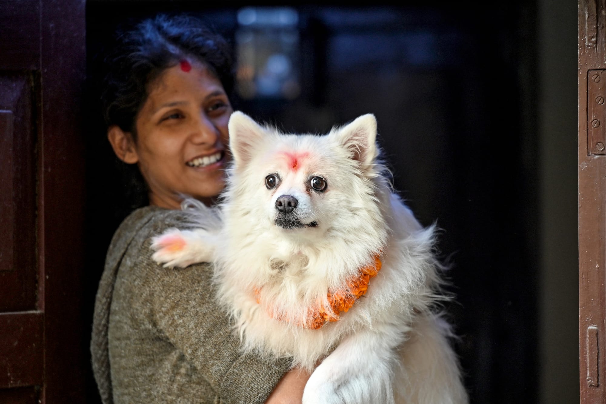 nepal dog festival kukur tihar 