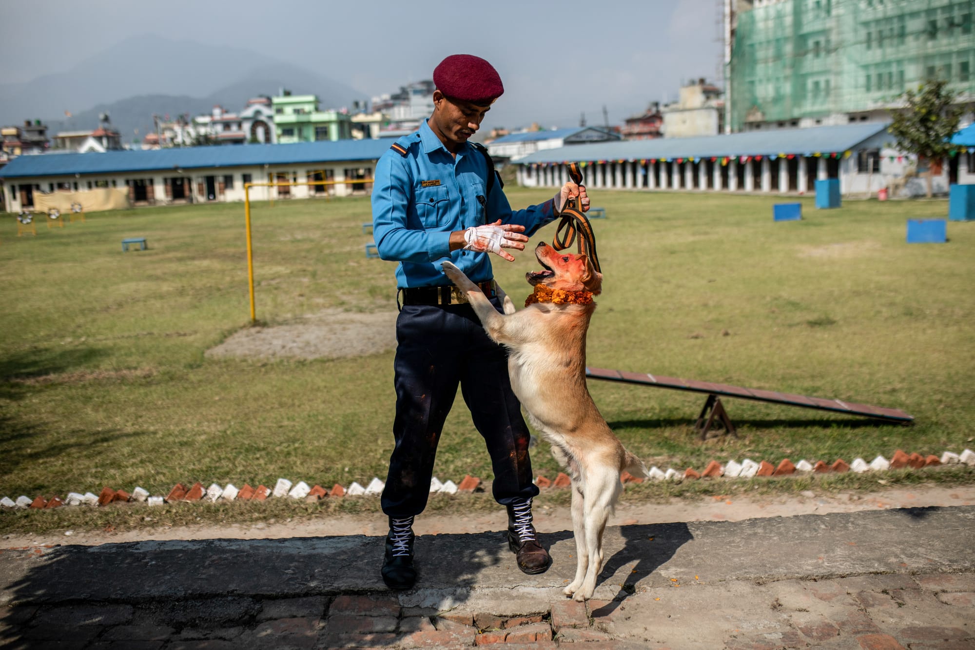 nepal dog festival kukur tihar 