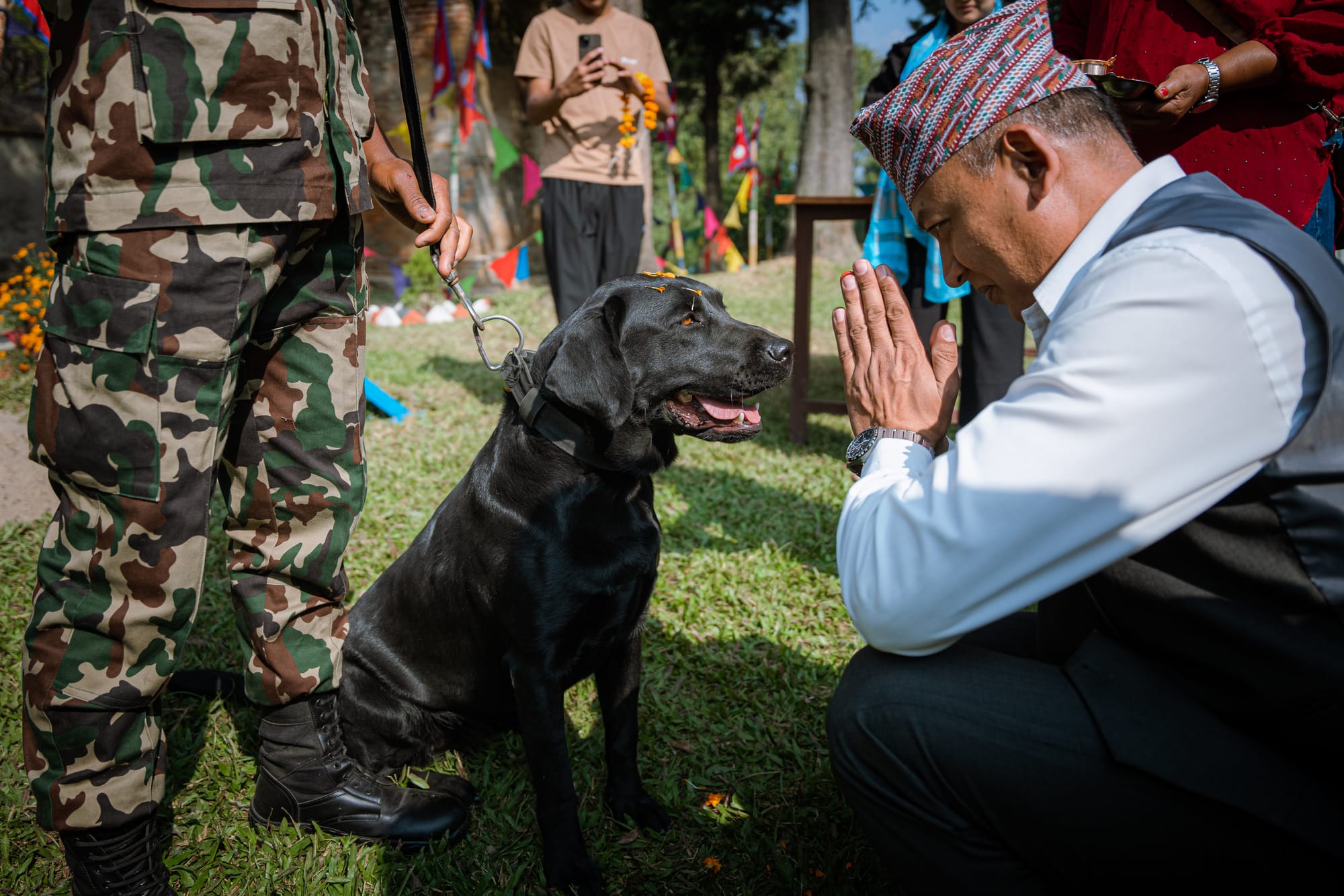 nepal dog festival kukur tihar 