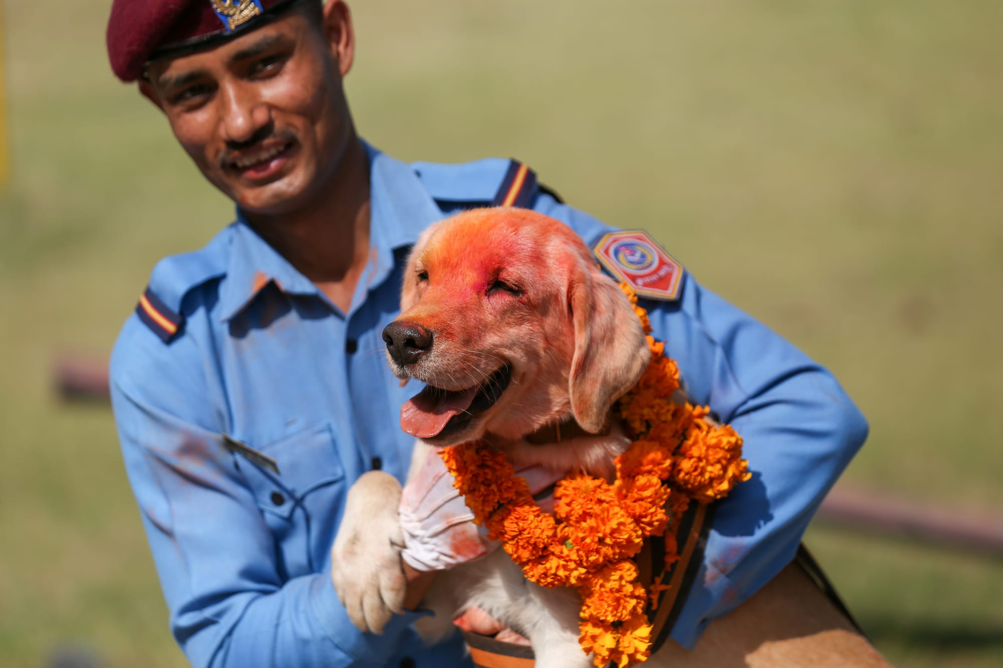 nepal dog festival kukur tihar 