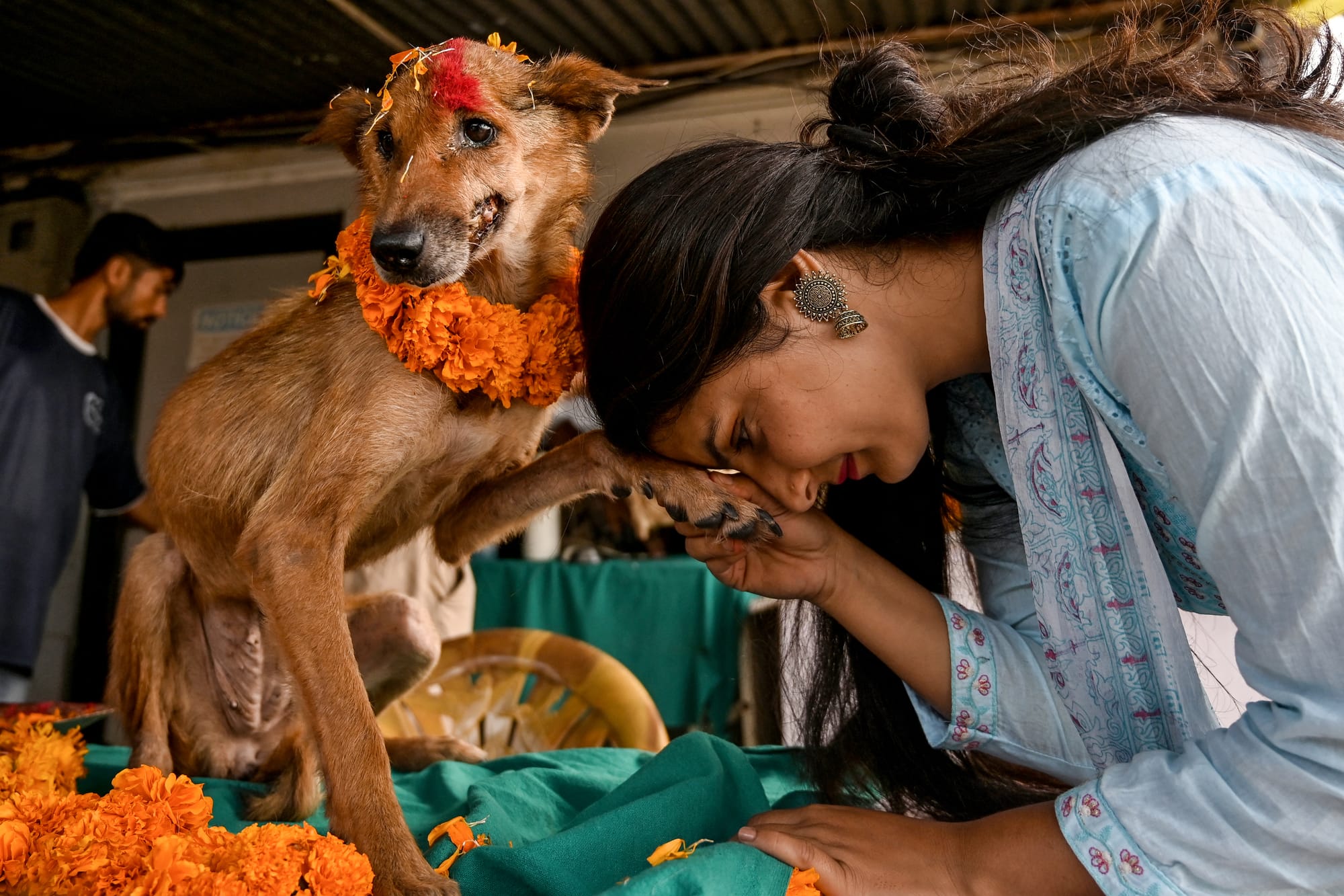 nepal dog festival kukur tihar 