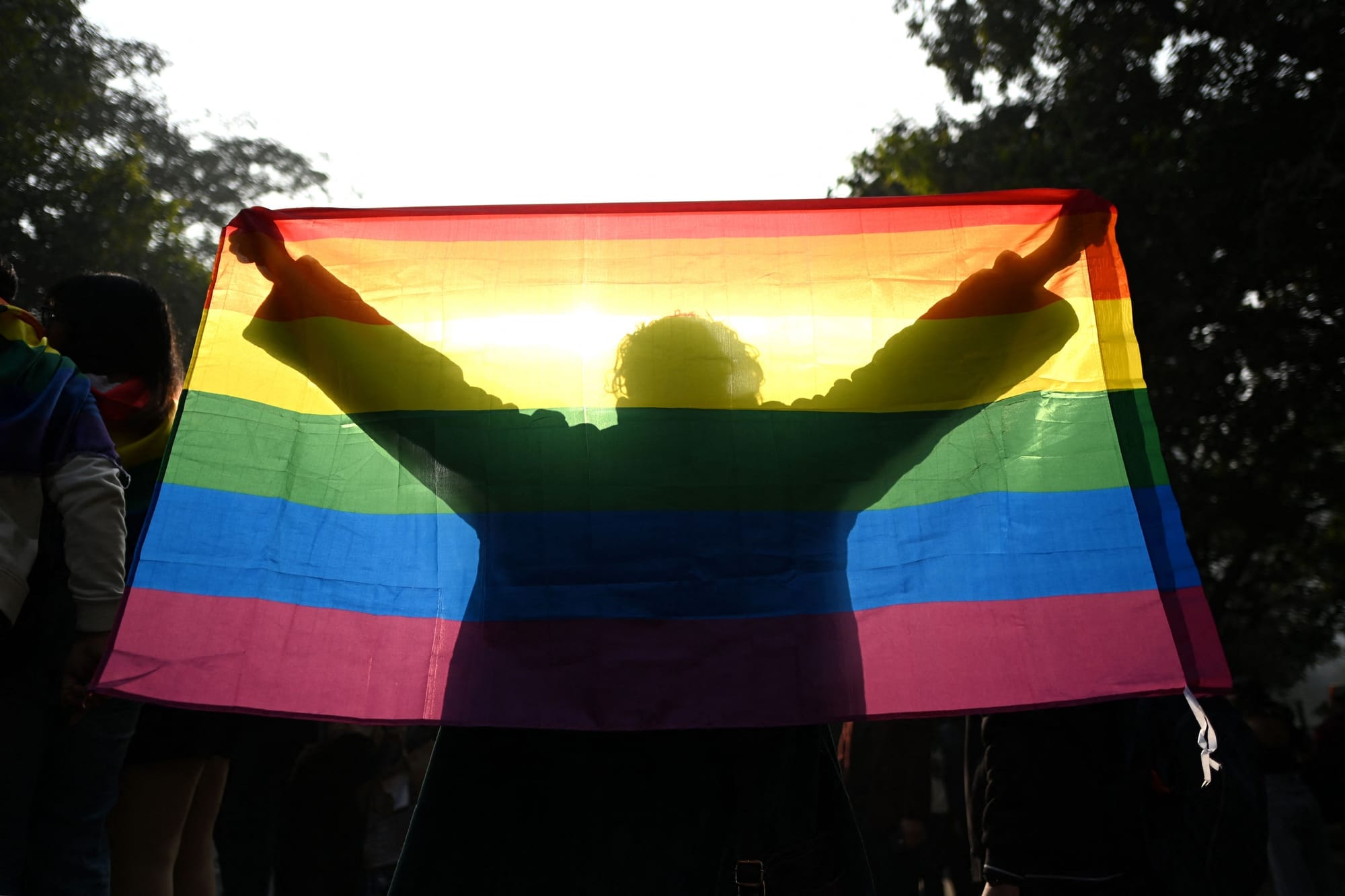 A gender rights activist is proudly holding up and displaying a glowing queer flag under the sunlights at New Delhi's 2023 queer pride parade.