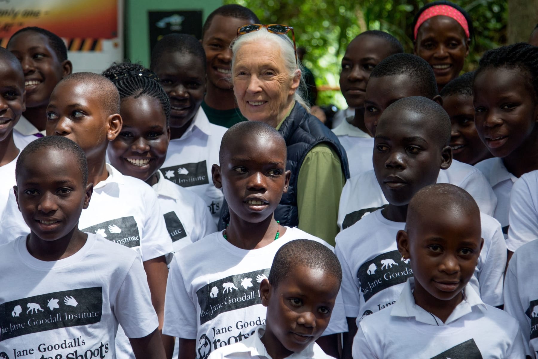jane goodall died primatologist