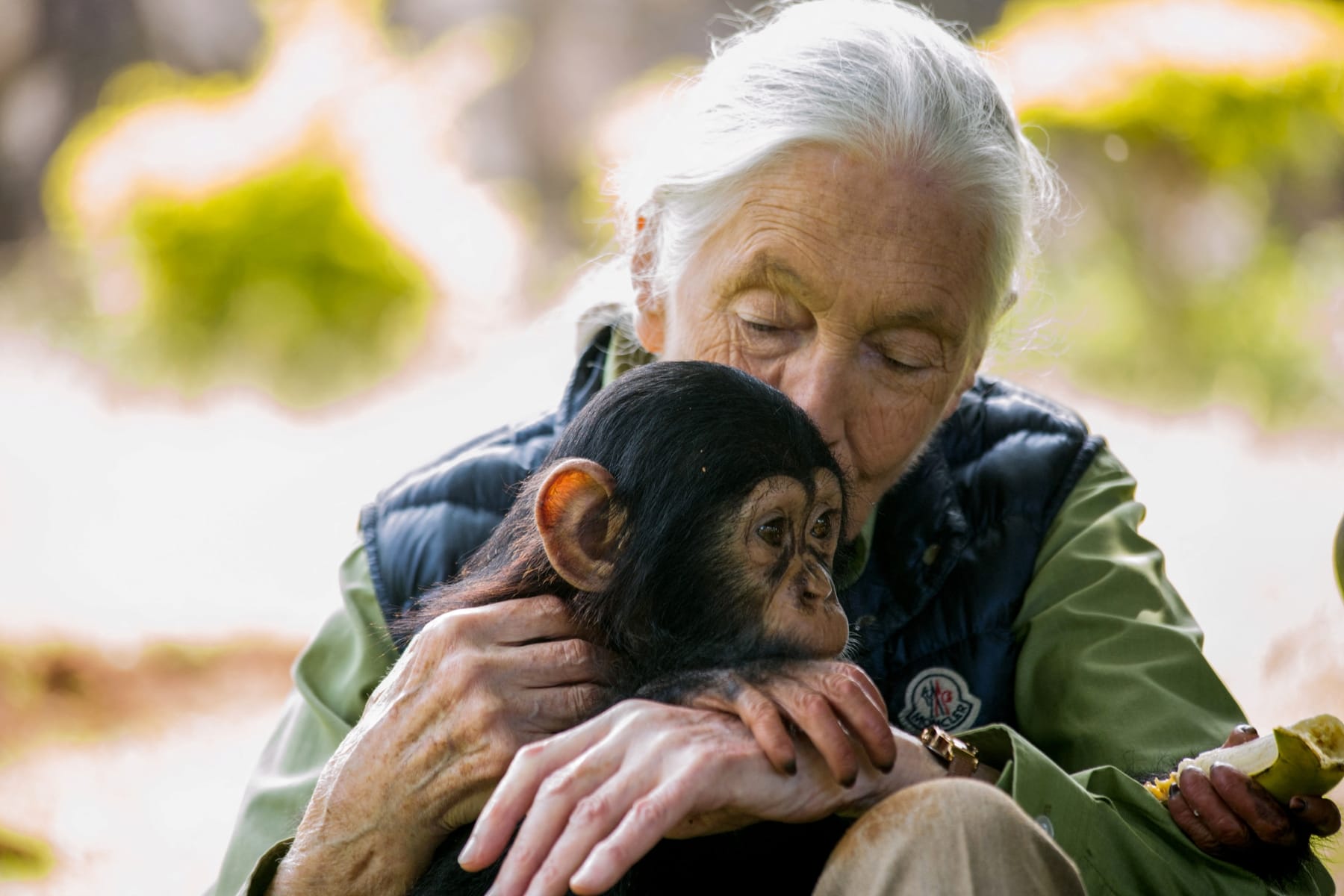jane goodall died primatologist
