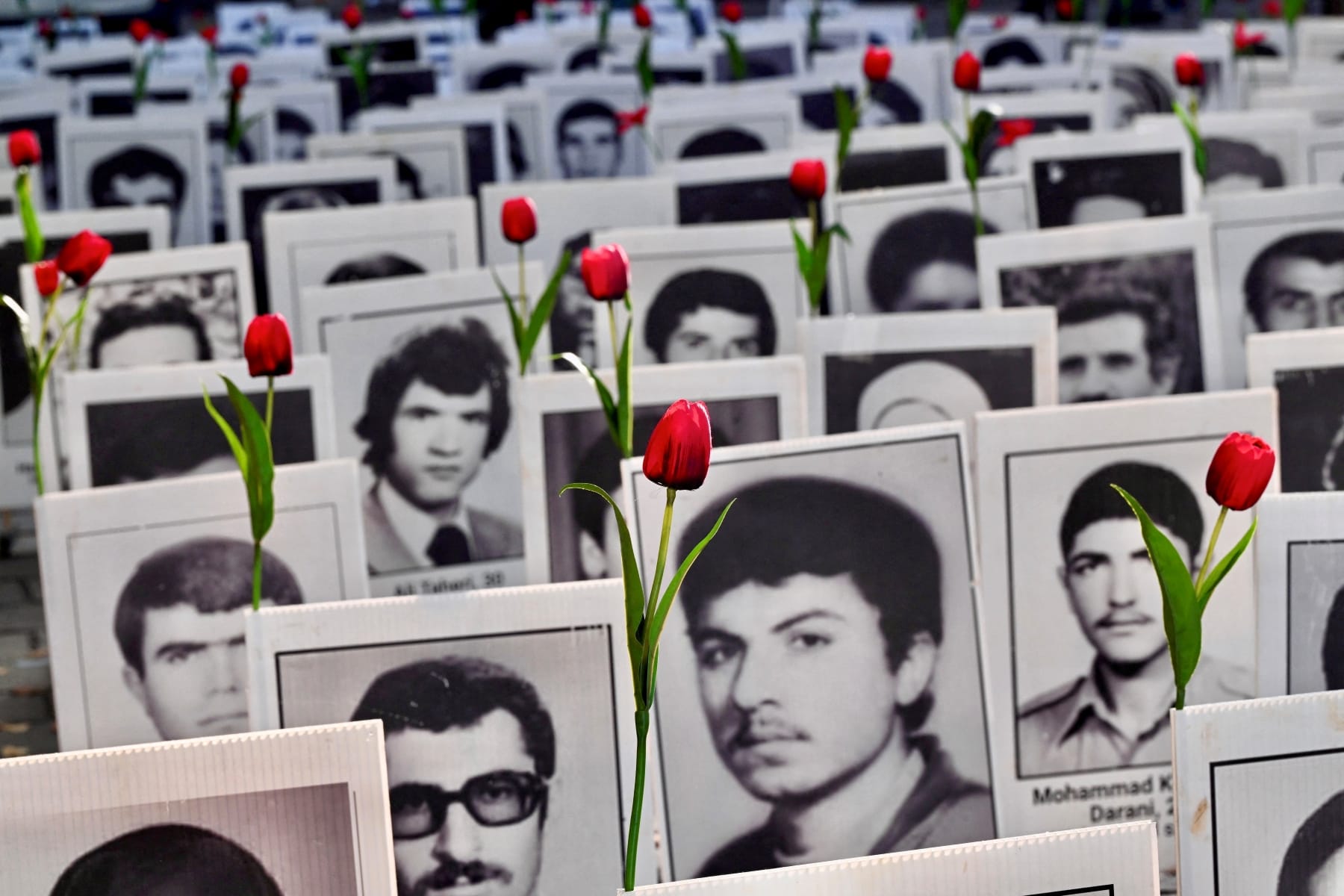 iran execute 3 young men anti government protest 2026