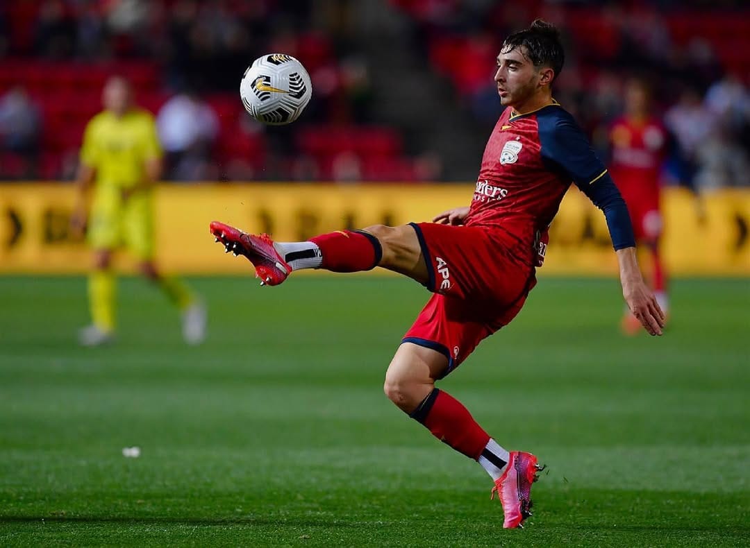 josh cavallo adelaide united gay discrimination australia football