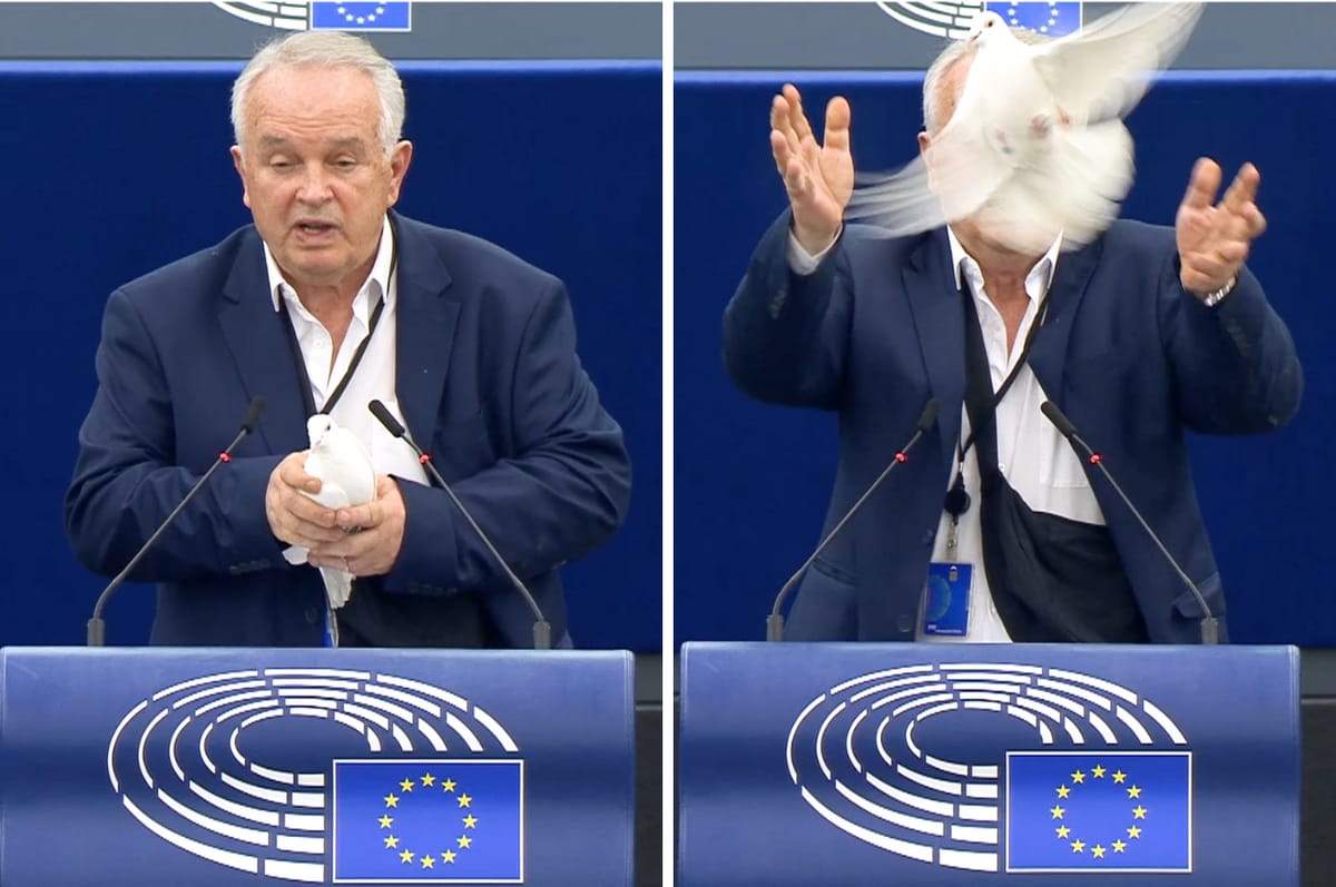 This Slovak Politician Released A Dove During His Speech To The EU Parliament As A Symbol Of Peace
