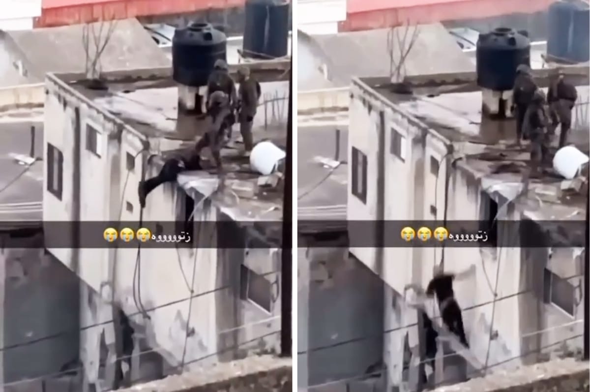 Israeli Soldiers Have Been Filmed Throwing Palestinian Men’s Bodies Off A Rooftop In The West Bank