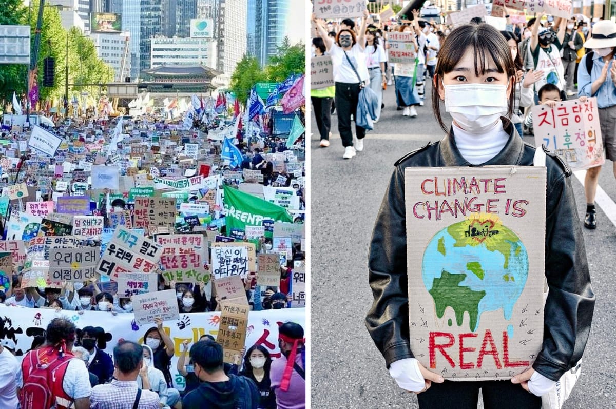 Young People In South Korea Sued The Government For Not Doing Enough To Fight Climate Change And Won