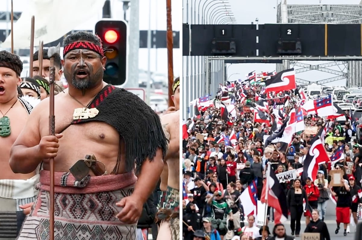 Tens Of Thousands Of New Zealanders Marched For Nine Days To Protest A Bill To Roll Back Indigenous Māori Rights