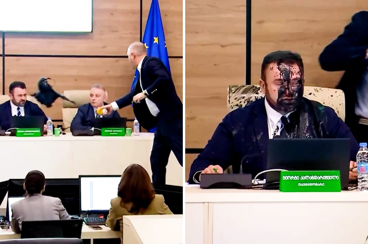 This Georgian Politician Threw Paint On The Election Chief To Protest The Pro-Russia Ruling Party Winning Again