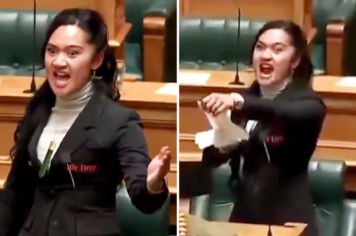 New Zealand’s Youngest Māori MP Led A Haka In Parliament And Tore Up A Bill To Roll Back Indigenous Rights