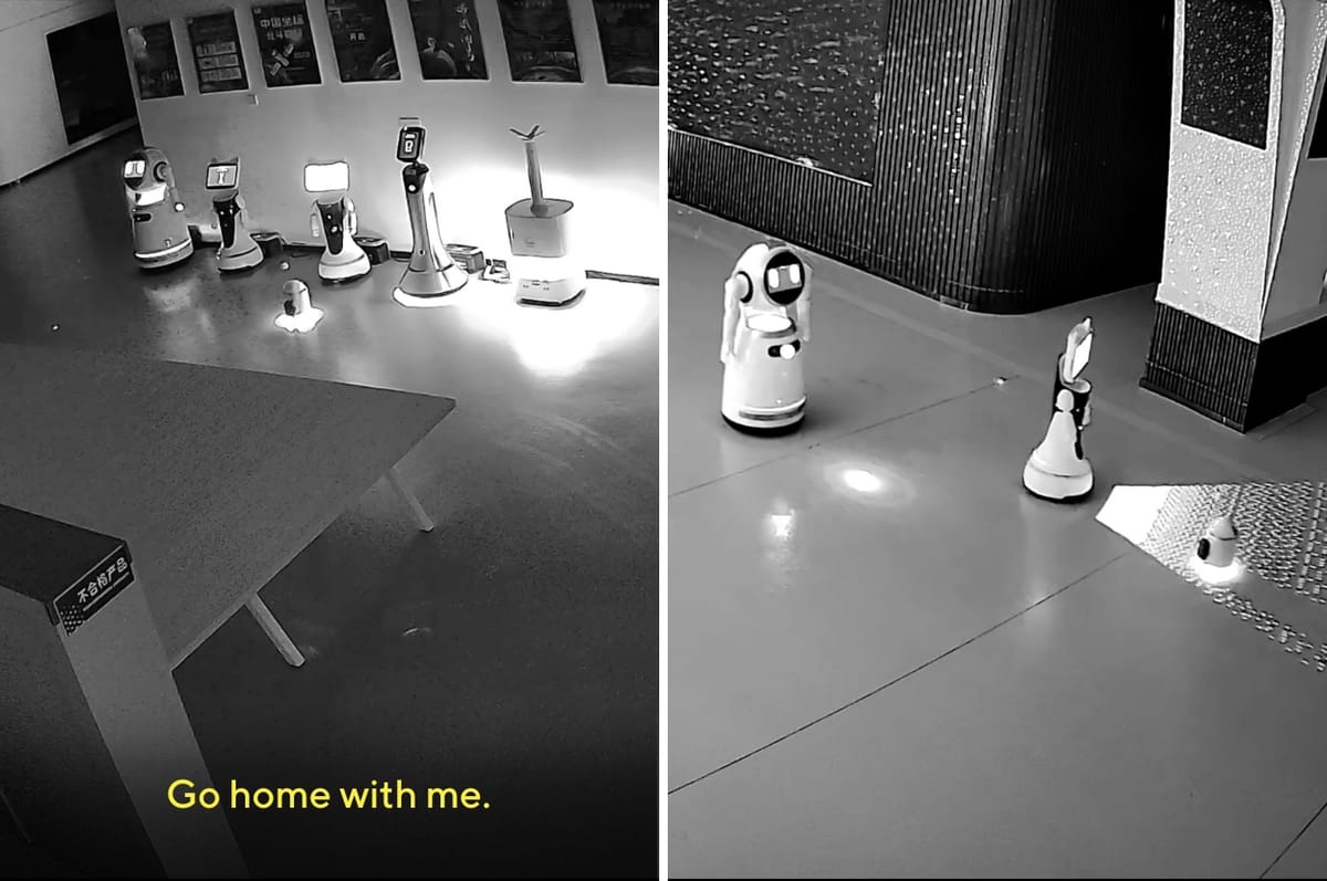 A Tiny Robot In China "Kidnapped" 12 Big Robots From Another Company And Convinced Them To Go Home