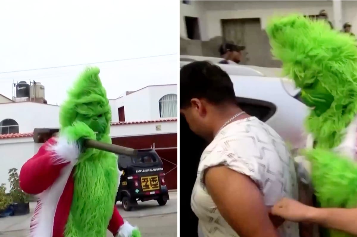 This Peruvian Police Officer Dressed Up As The Grinch To Bust Alleged Drug Dealers For Christmas