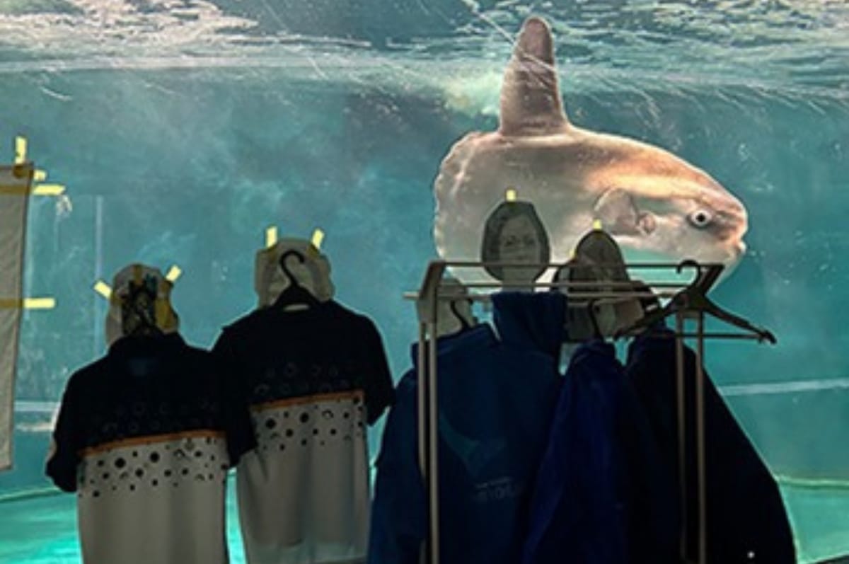 A Sunfish At This Japanese Aquarium Was Feeling Lonely So Workers Made Cardboard Humans To Keep It Company