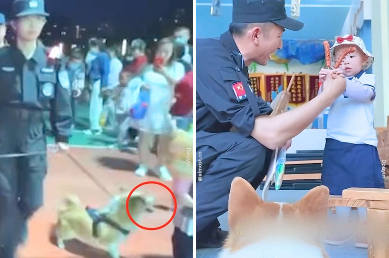 china first police corgi steal sausage apology