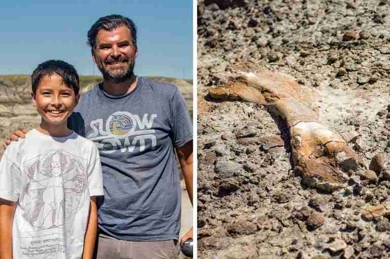 This 12-Year-Old Boy Discovered A Rare Dinosaur Skeleton While He Was Hiking With His Dad In Canada
