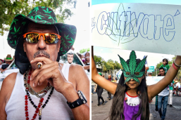 Mexico Has Passed A Bill That Would Legalize Marijuana For Recreational Use Nationwide