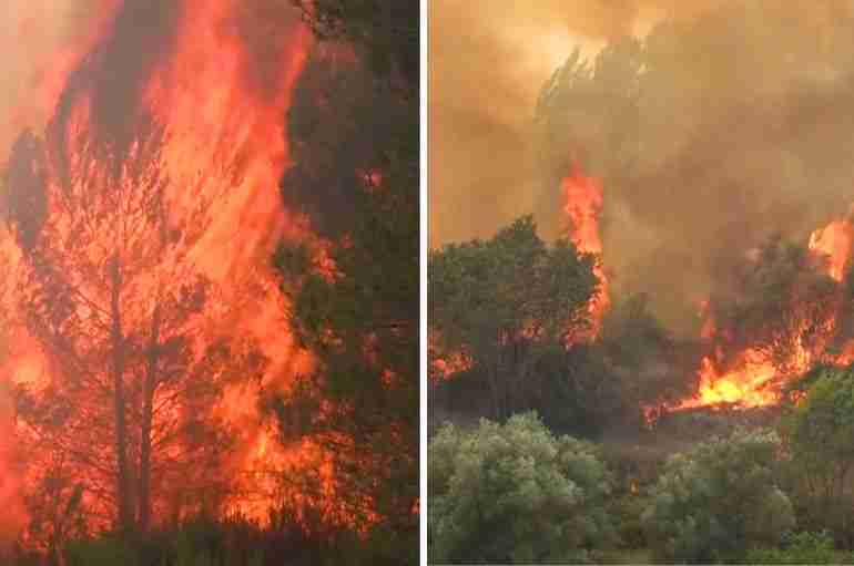 Wildfires Are Tearing Across Spain As It Experiences One Of Its Earliest Heatwaves In Decades