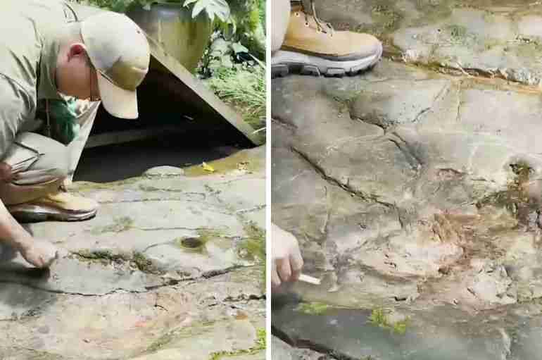 This Guy In China Was Eating At A Restaurant And Discovered 100 Million-Year-Old Dinosaur Footprint
