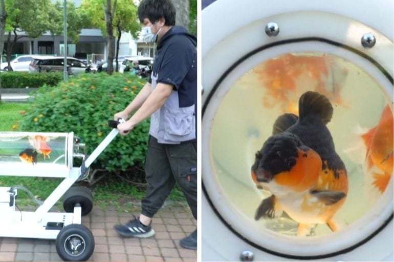 This Taiwanese Guy Invented A Stroller For His Pet Fish So He Can Take Them Out On Walks With Him