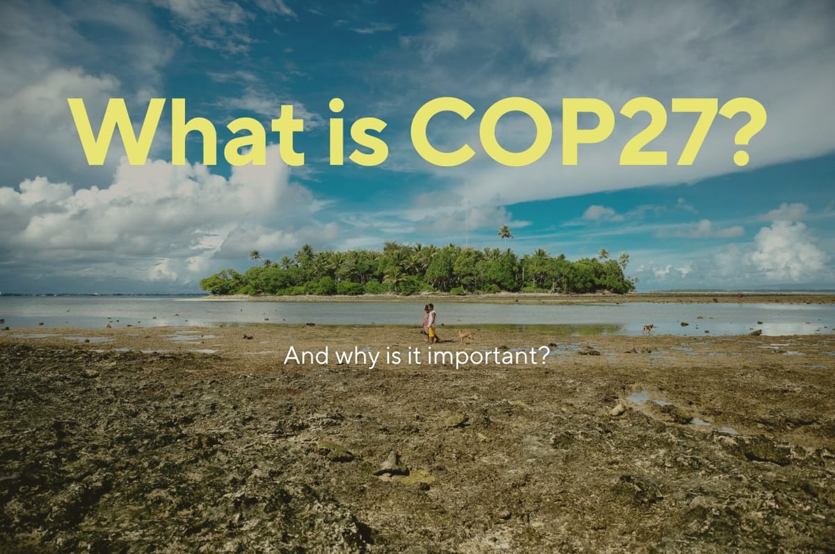 What Is COP27?