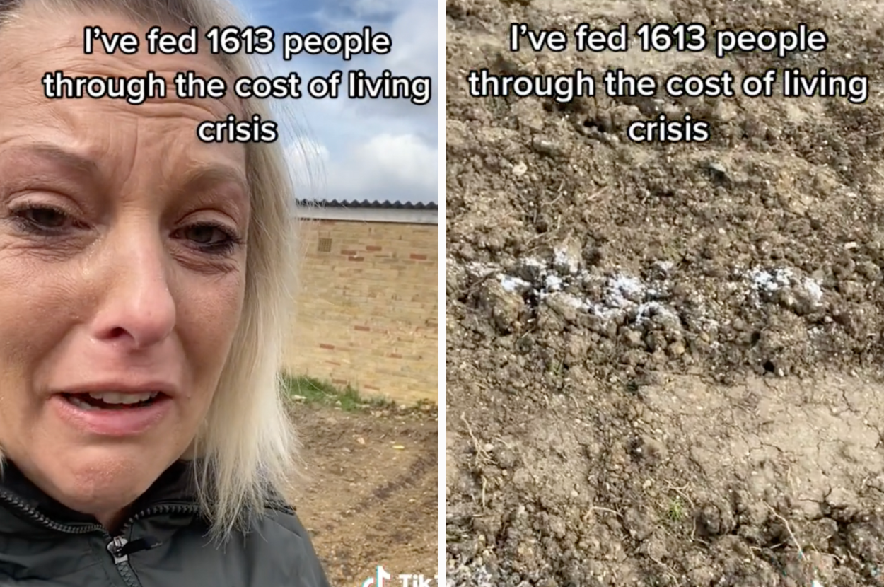 After A UK Woman’s Garden Feeding People In Need Was Vandalized, People On TikTok Stepped In To Help