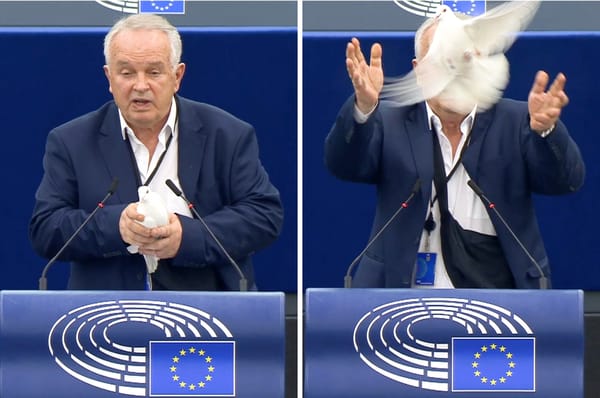 slovakia politician dove european parliament peace miroslav radacovsky