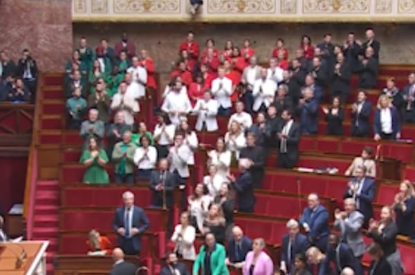 french politicians dress palestine flag parliament