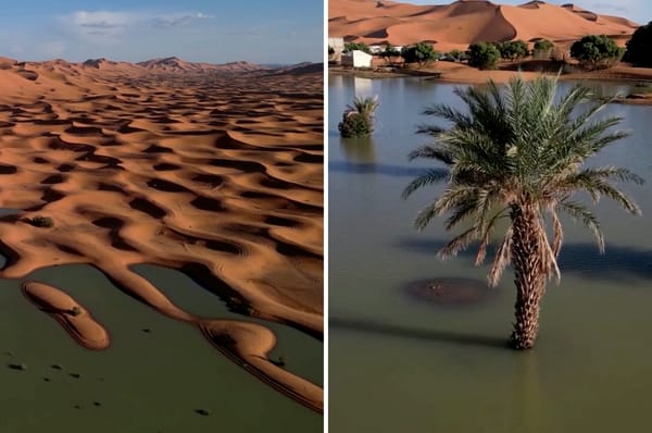 sahara desert flooding lakes rainfall Morocco climate change