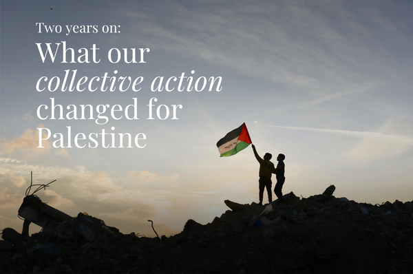 gaza genocide collective action wins change