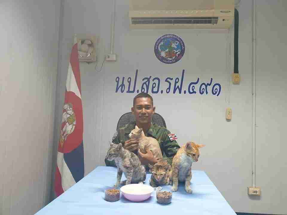 The Royal Thai Navy rescues four kittens that were stranded on a capsized vessel. 