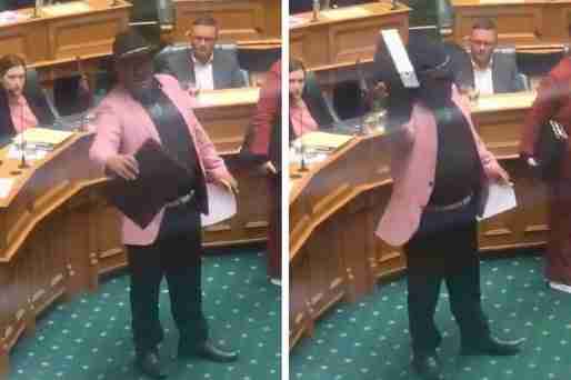 This Māori MP Performed The Haka In New Zealand’s Parliament To Protest Racism And Got Ejected