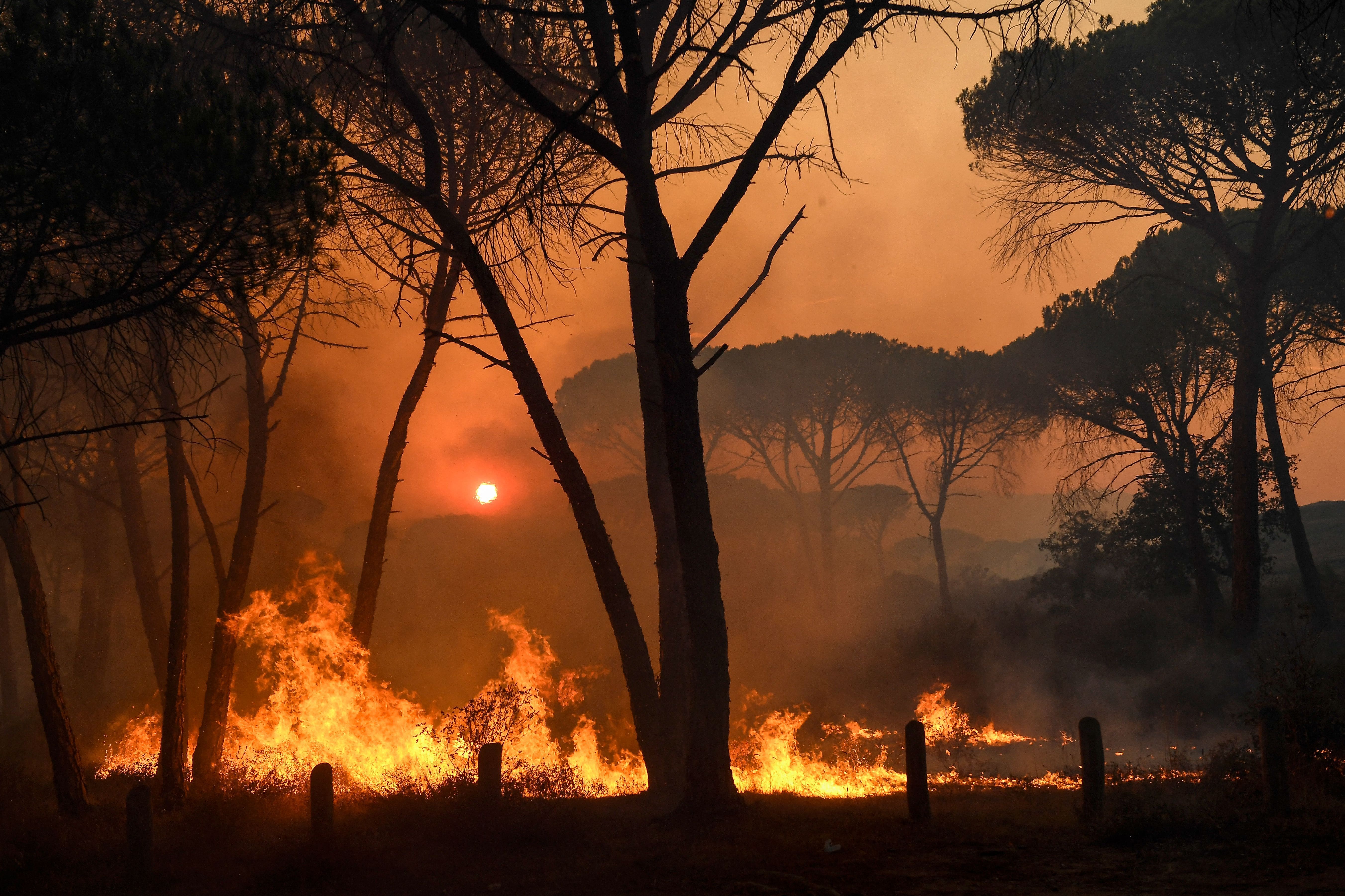wildfires climate change france