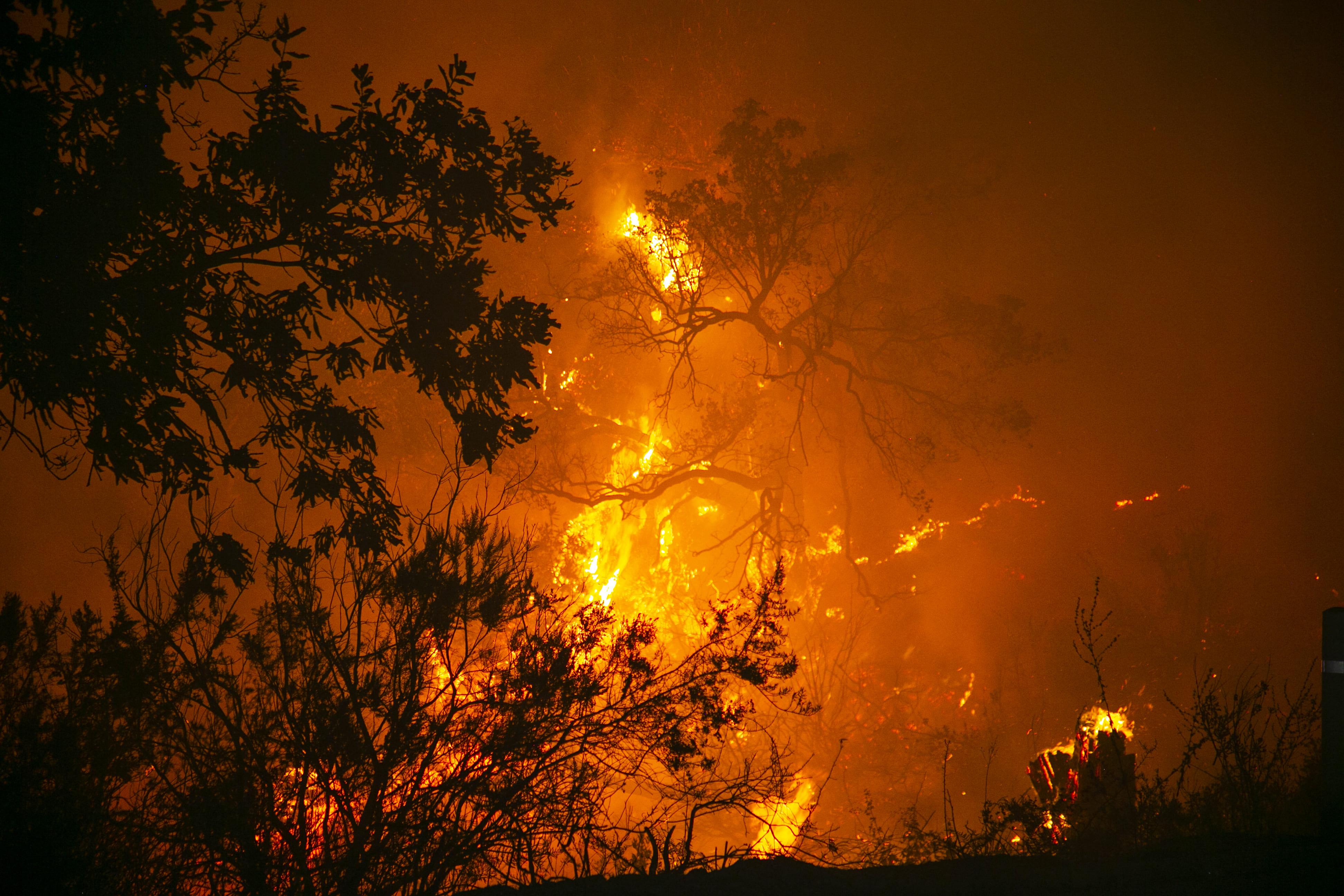 wildfires climate change tunisia