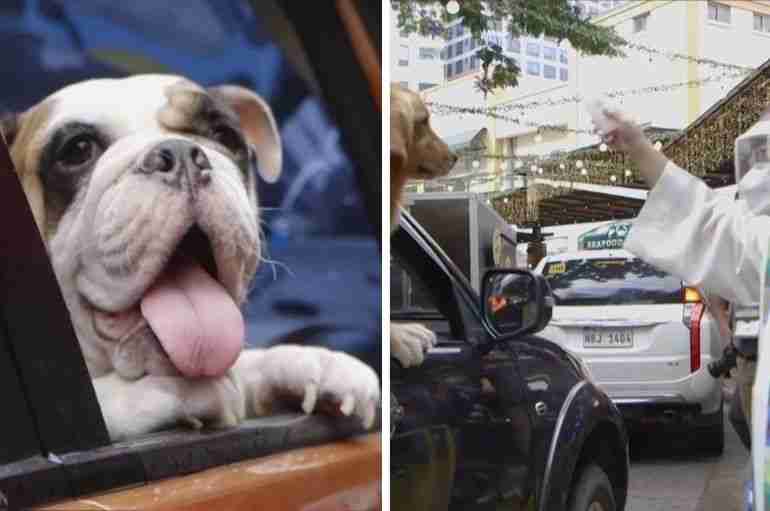 This Filipino Catholic Priest Held A Drive-Through Blessing For Pets At A Mall For An Annual Festival