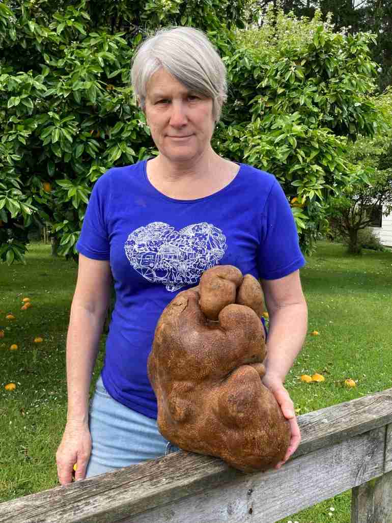 donna craig brown new zealand world biggest potato
