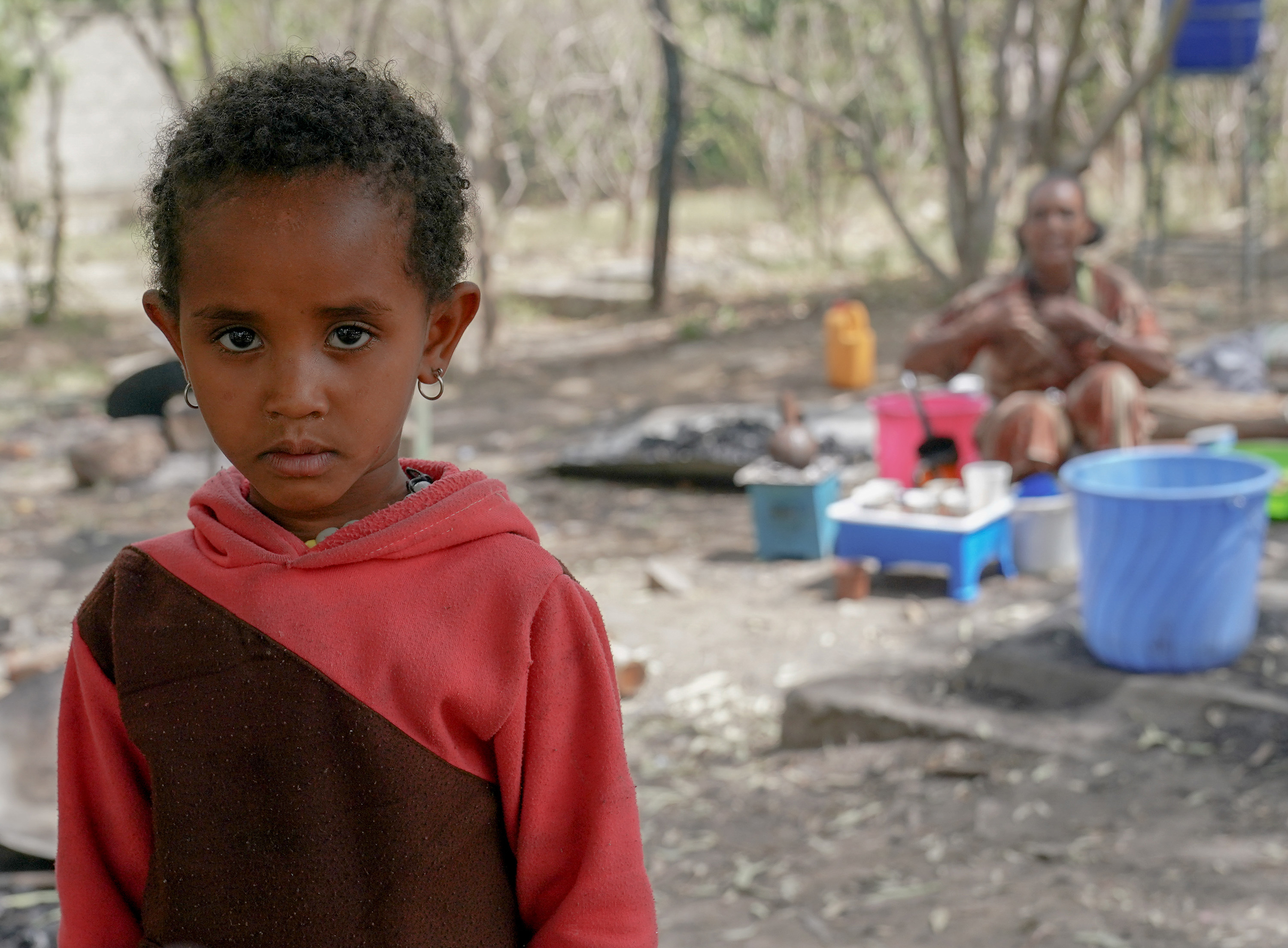 ethiopia schools closed civil war