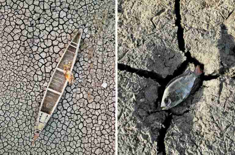Iraq’s Garden Of Eden Is Drying Up After Three Consecutive Years Of Drought And The Photos Are Unreal