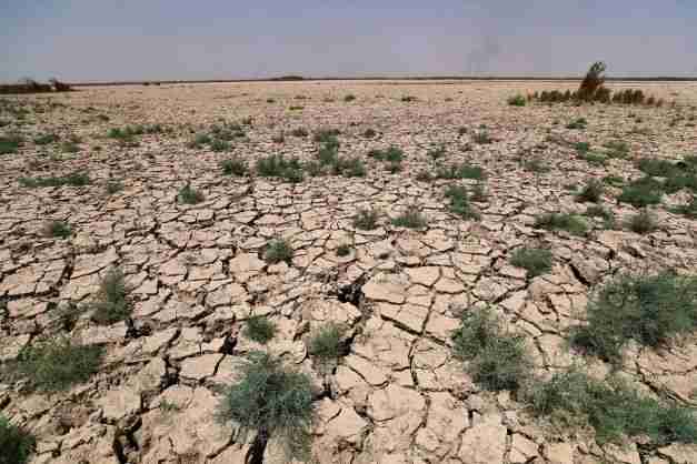 iraq drought garden of eden dry