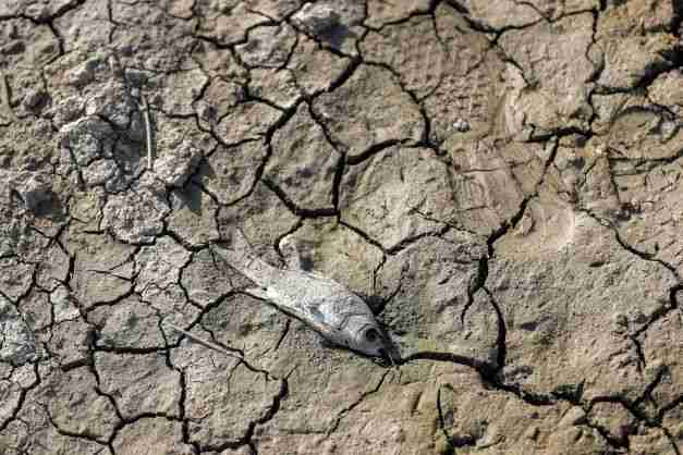 iraq drought garden of eden dry