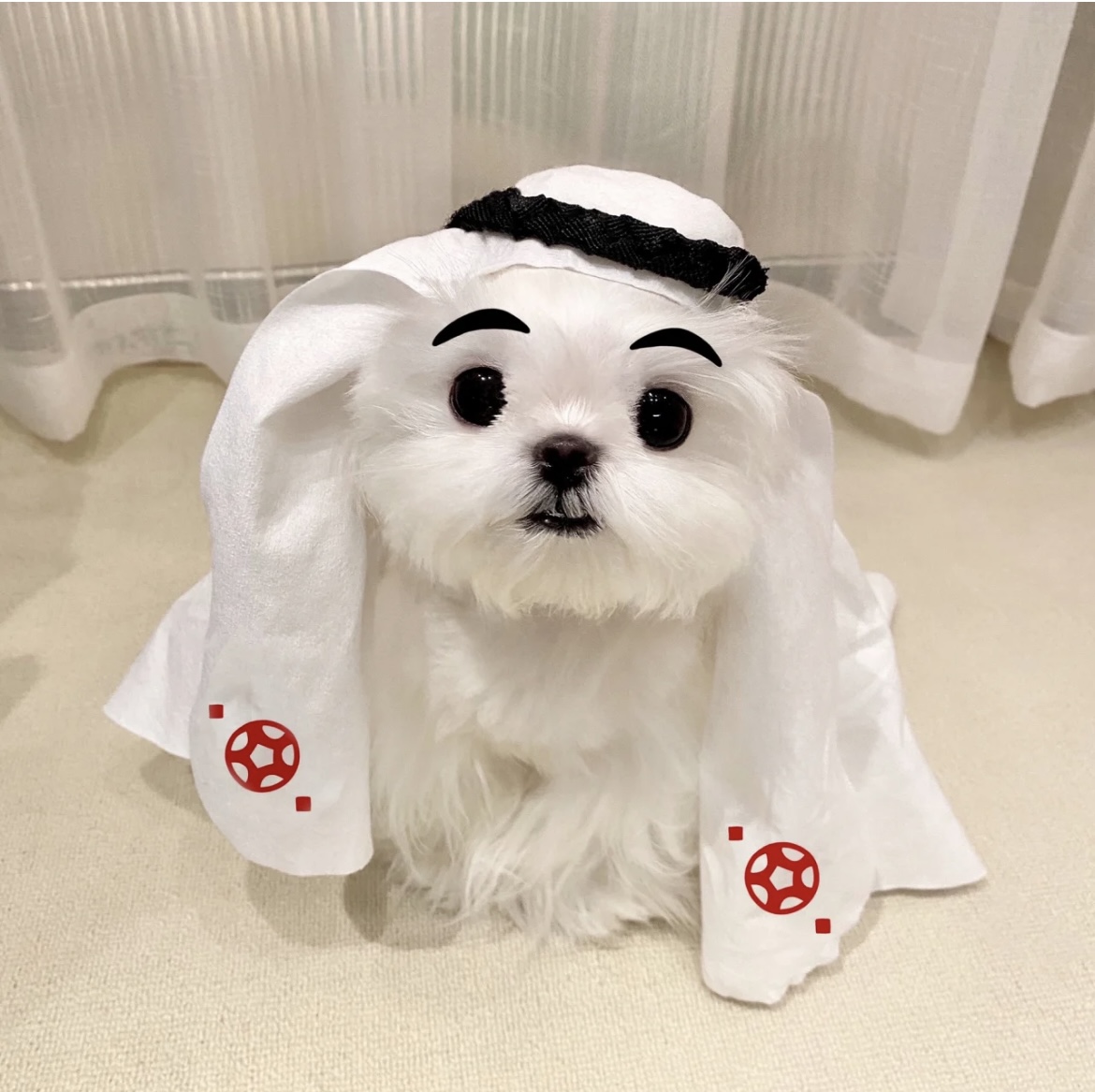 People In China Are Dressing Their Pets Up As La’eeb, The World Cup Mascot, And It’s The Cutest