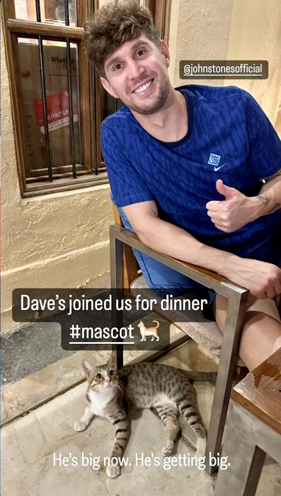 These England Players Adopted A Stray Cat In Qatar, Named Him Dave And Are Now Taking Him Home