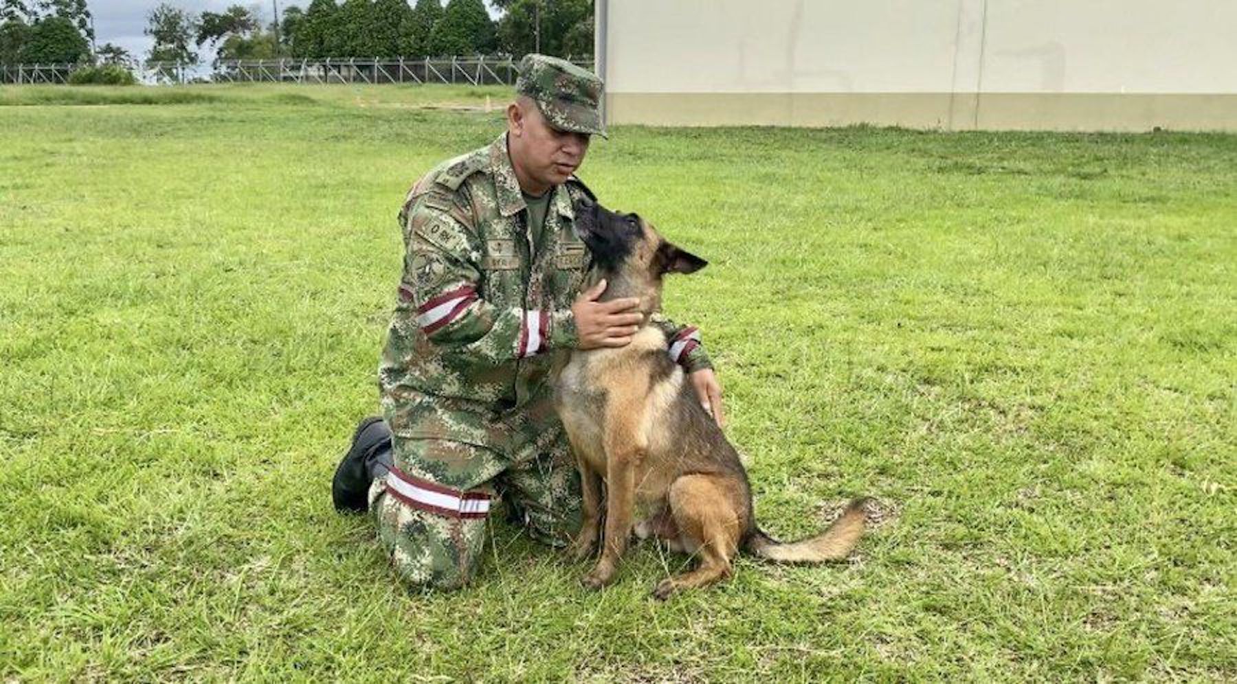 The Hero Rescue Dog That Helped Find The Lost Colombian Children In The Jungle Is Still Missing