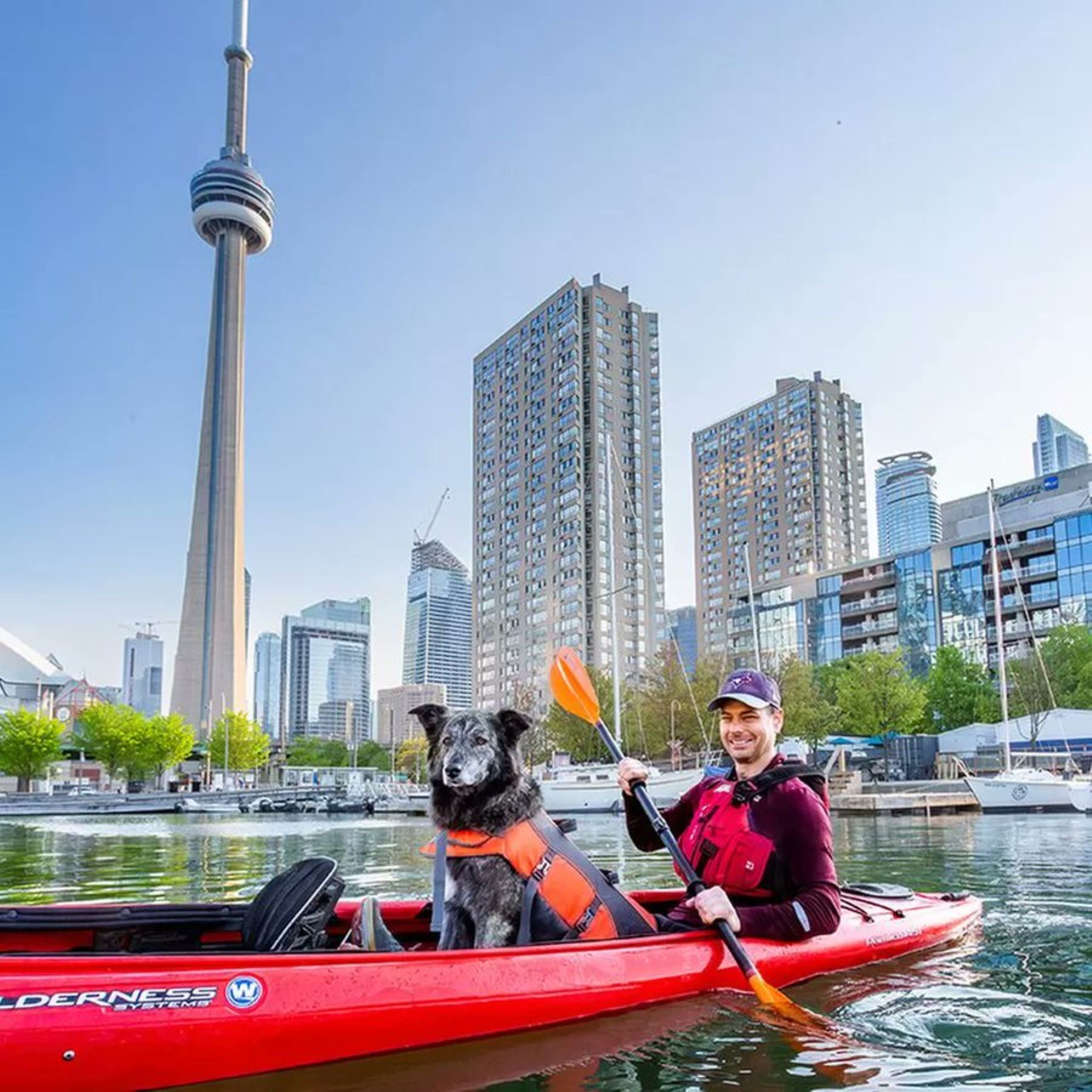 Molly and Toby Heaps, who ran for mayor of Toronto, kayak in a river.