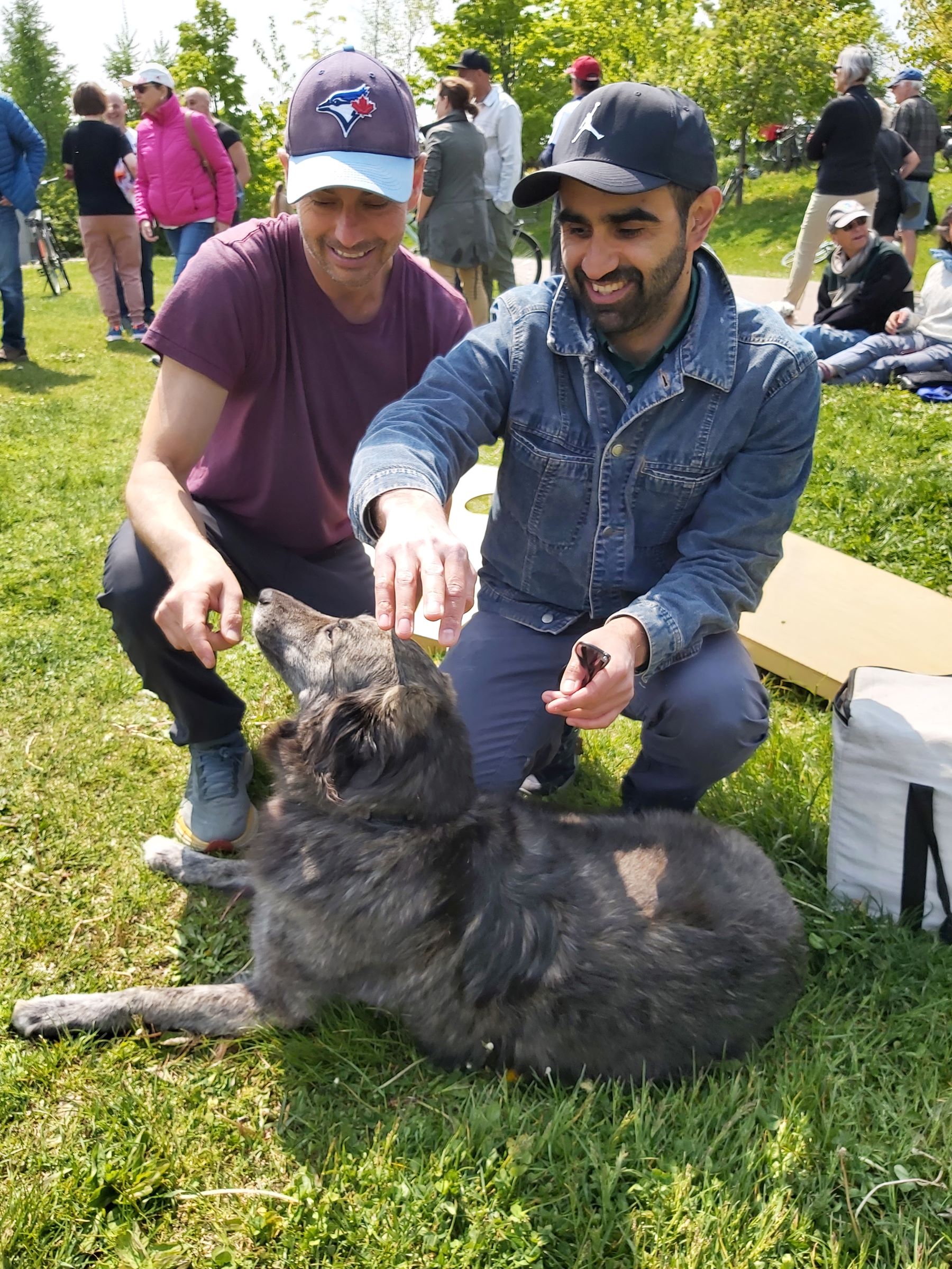 Two men play with dog Molly, a dog who ran for mayor of Toronto.